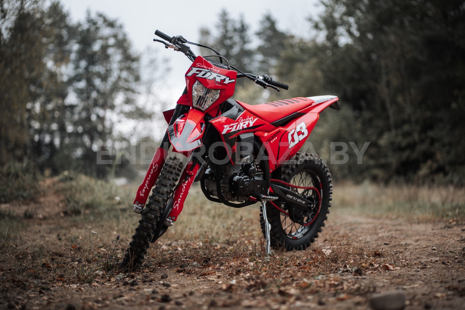 Sanchez Fury CB300RL EFI - изображение 1