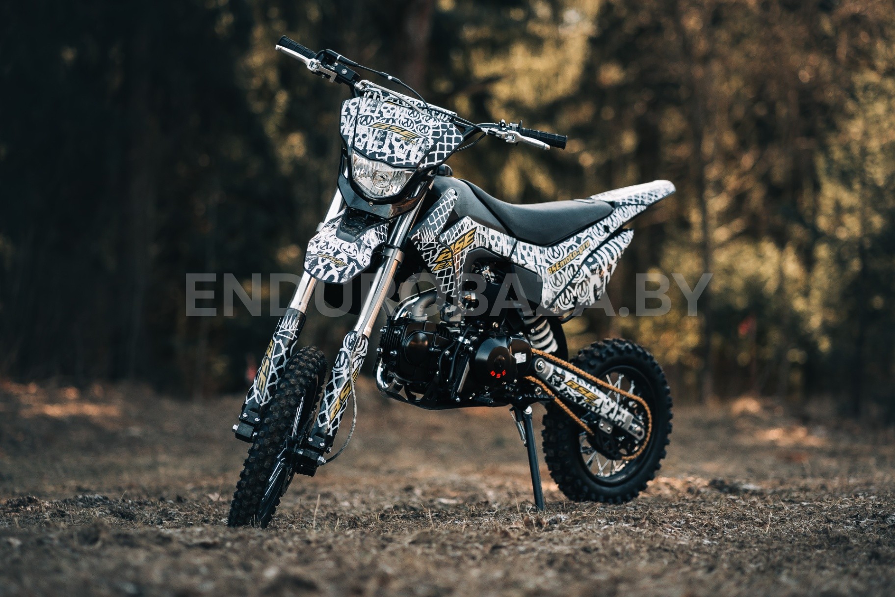BSE EX125e - изображение 1