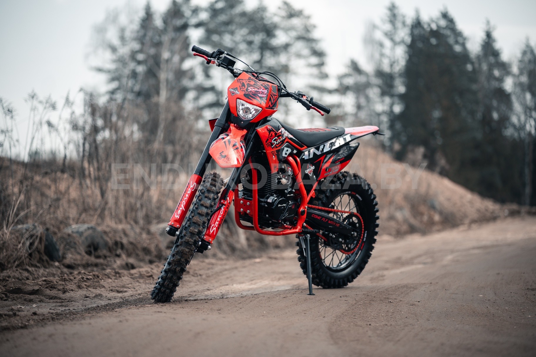Sanchez Bandit YB300R - изображение 1