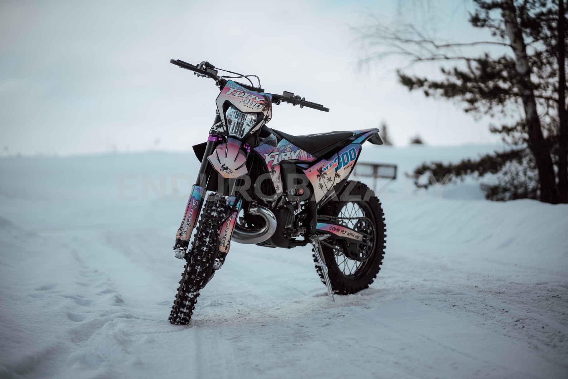 Sanchez Fury MT300 - изображение 1